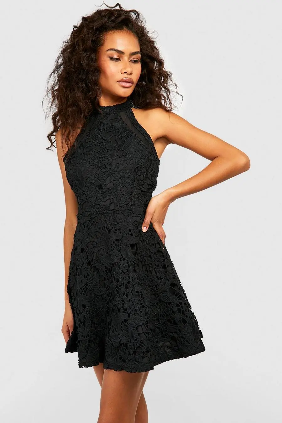 Lace High Neck Skater Dress